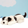 Image of Jellycat Dashing Dog Medium soft toy Gift