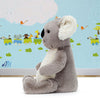 Image of Jellycat Kai Koala Soft Toy Gift